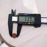 10 Mukhi Rudraksha Lab Certified - Natural Ten-Face Rudraksha for Lord Vishnu’s Protection – Malawala