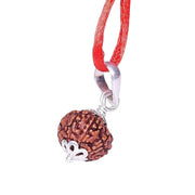 10 Mukhi Rudraksha Lab Certified - Natural Ten-Face Rudraksha for Lord Vishnu’s Protection – Malawala