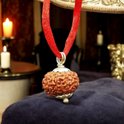 10 Mukhi Rudraksha Lab Certified - Natural Ten-Face Rudraksha for Lord Vishnu’s Protection – Malawala