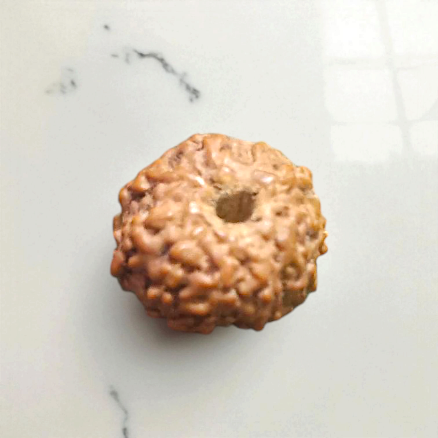 10 Mukhi Rudraksha Lab Certified - Natural Ten-Face Rudraksha for Lord Vishnu’s Protection – Malawala