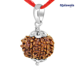 11 Mukhi Rudraksha Lab Certified - Natural Eleven-Face Rudraksha for Hanuman’s Strength – Malawala