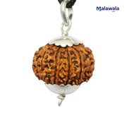 11 Mukhi Rudraksha Lab Certified - Natural Eleven-Face Rudraksha for Hanuman’s Strength – Malawala
