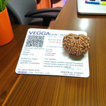11 Mukhi Rudraksha Lab Certified - Natural Eleven-Face Rudraksha for Hanuman’s Strength – Malawala