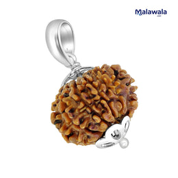 12 Mukhi Rudraksha Lab Certified - Natural Twelve-Face Rudraksha for Surya Dev Energy – Malawala