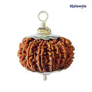 13 Mukhi Rudraksha Lab Certified - Natural Thirteen-Face Rudraksha for Kamadeva & Vishnu’s Grace – Malawala