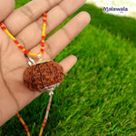 14 Mukhi Rudraksha Lab Certified - Natural Fourteen-Face Rudraksha for Lord Hanuman’s Vision – Malawala