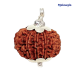 14 Mukhi Rudraksha Lab Certified - Natural Fourteen-Face Rudraksha for Lord Hanuman’s Vision – Malawala