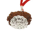 16 Mukhi Rudraksha Lab Certified - Natural Sixteen-Face Rudraksha for Mahamrityunjaya Protection – Malawala