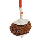 16 Mukhi Rudraksha Lab Certified - Natural Sixteen-Face Rudraksha for Mahamrityunjaya Protection – Malawala