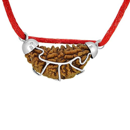1 Mukhi Rudraksha Pendant with 925 Silver Cap Natural Certified for Men & Women