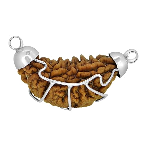 1 Mukhi Rudraksha Pendant with 925 Silver Cap Natural Certified for Men & Women
