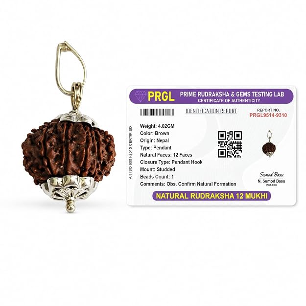 Natural 12 Mukhi Rudraksha Pendant | Lab Certified | Original Bead | Malawala
