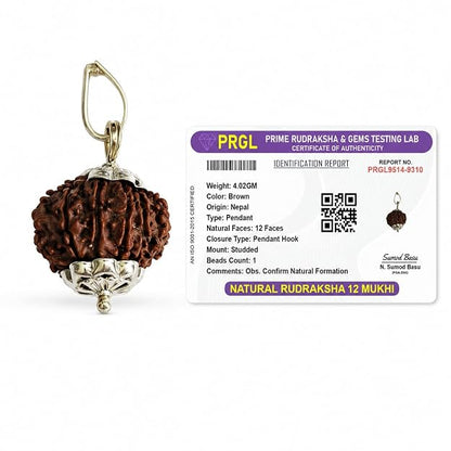 Natural 12 Mukhi Rudraksha Pendant | Lab Certified | Original Bead | Malawala