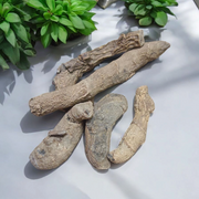 200 grams of Kali Haldi (Black Turmeric) seeds also known as Narkachur or Nar Kachur – natural and potent remedy for rituals and prosperity