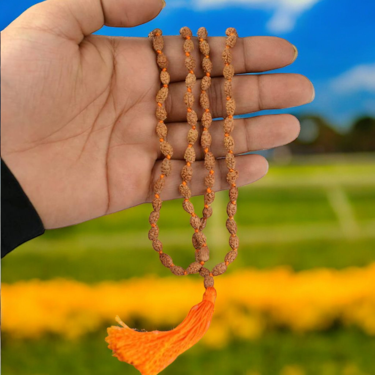 2 Mukhi Rudraksha Mala 108+1 Beads Lab Certified | Malawala