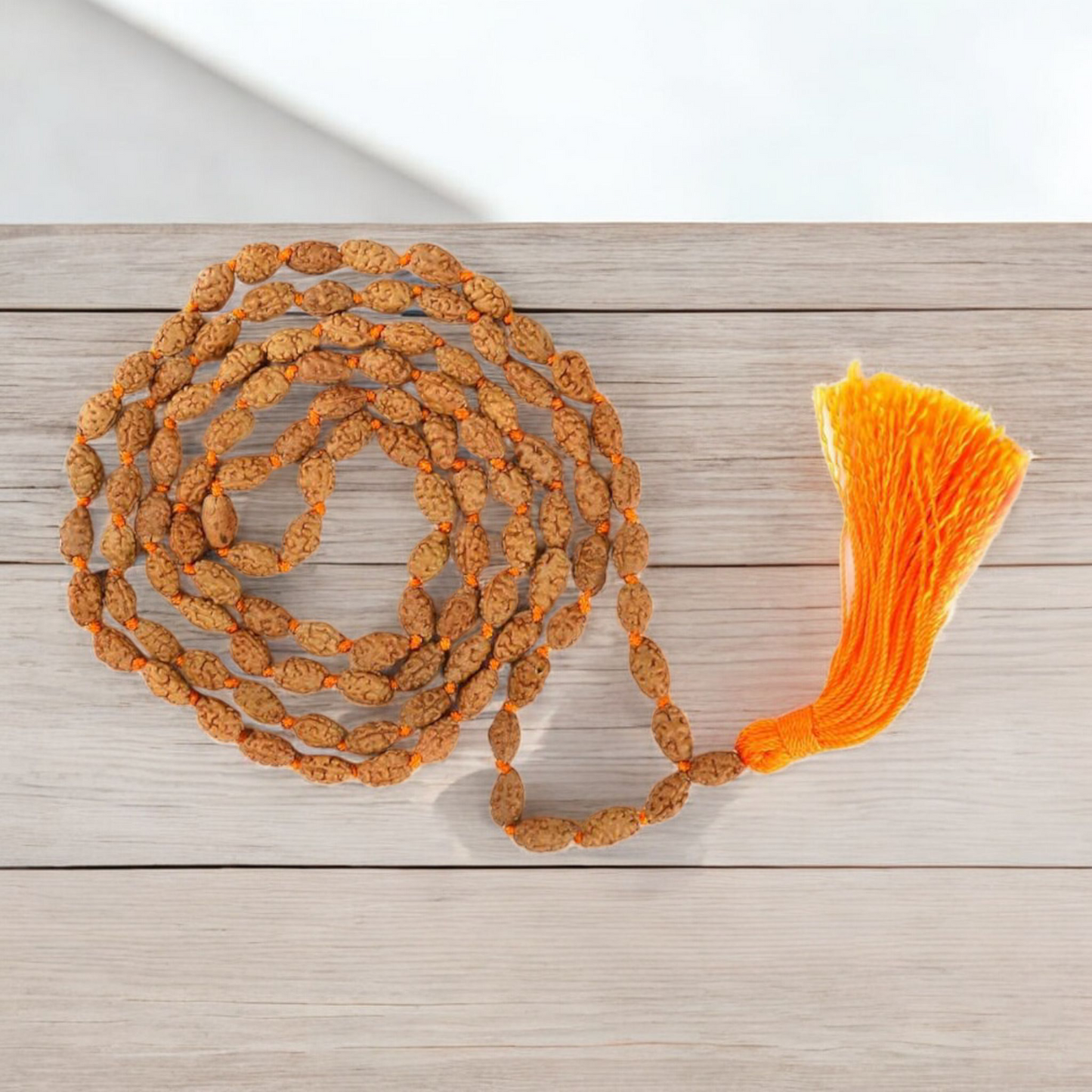 2 Mukhi Rudraksha Mala 108+1 Beads Lab Certified | Malawala