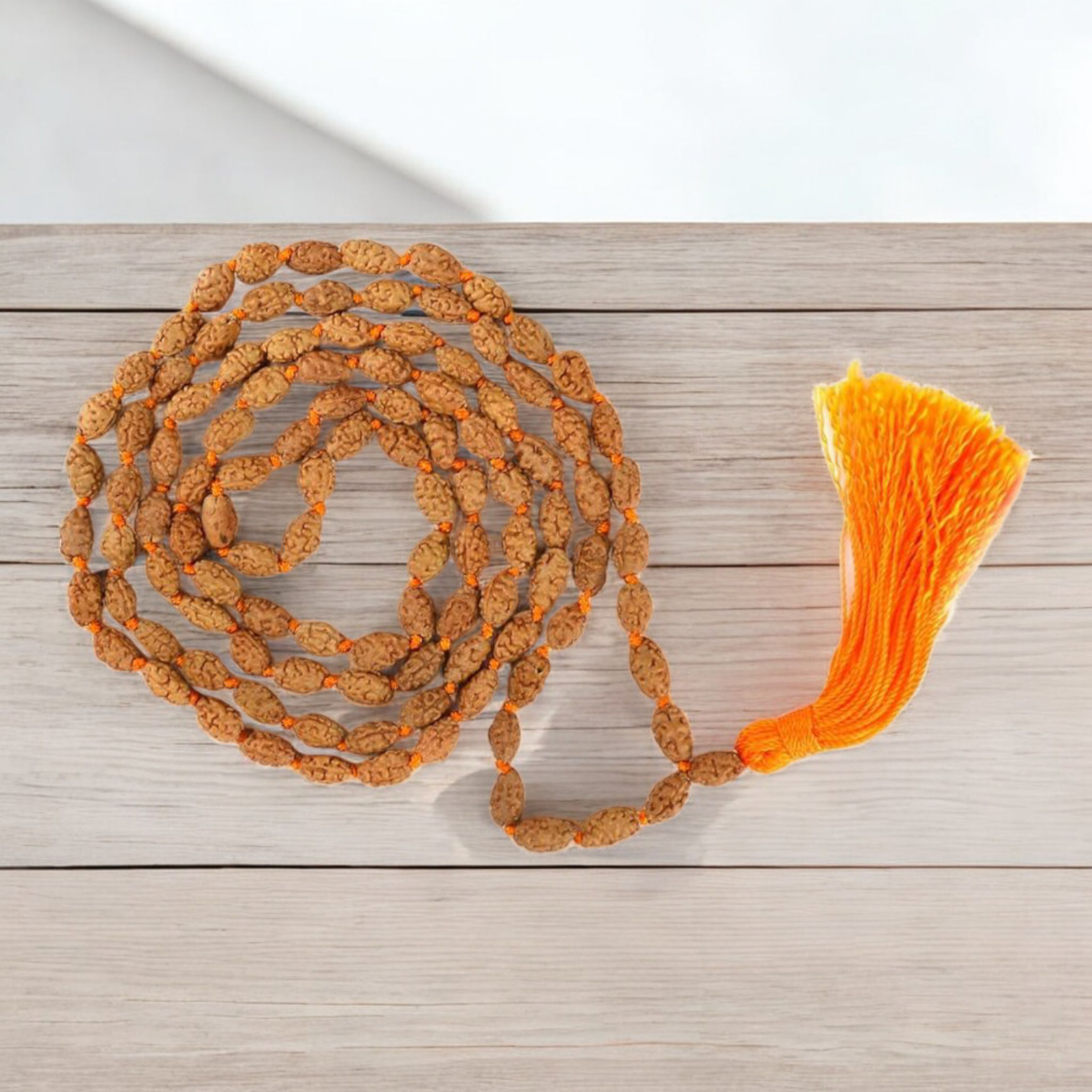 2 Mukhi Rudraksha Mala 108+1 Beads Lab Certified | Malawala
