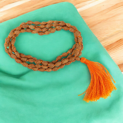 2 Mukhi Rudraksha Mala 108+1 Beads Lab Certified | Malawala
