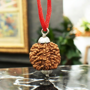 2 Mukhi Rudraksha Pendant Lab Certified - Natural 2 Face Rudraksha for Shiva and Shakti – Malawala