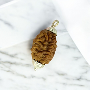 2 Mukhi Rudraksha Lab Certified - Natural 2 Face 2 Mukhi Rudraksha Pendant Lab Certified - Natural 2 Face Rudraksha for Shiva and Shakti – Malawala for Shiva and Shakti – Malawala