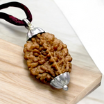 2 Mukhi Rudraksha Lab Certified - Natural 2 Face Rudraksha fo2 Mukhi Rudraksha Pendant Lab Certified - Natural 2 Face Rudraksha for Shiva and Shakti – Malawalar Shiva and Shakti – Malawala