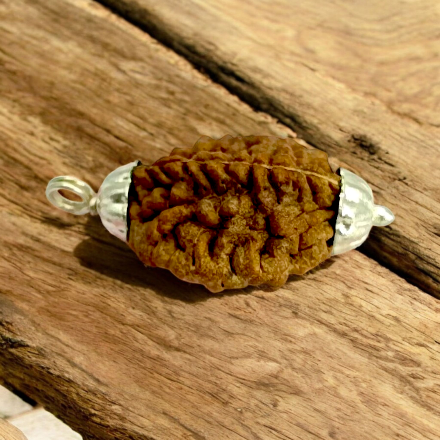 2 Mukhi Rudraksha Pendant Lab Certified - Natural 2 Face Rudraksha for Shiva and Shakti – Malawala