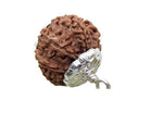 9 Mukhi Rudraksha Lab Certified - Natural Nine-Face Rudraksha for Durga’s Power – Malawala