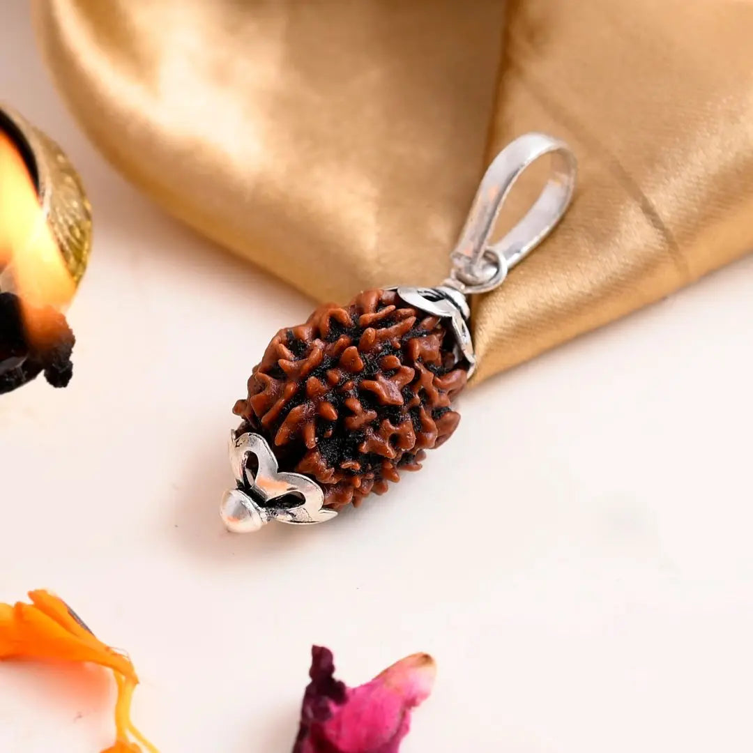 3 Mukhi Rudraksha Lab Certified - Natural Three-Face Rudraksha for Agni Dev Blessings – Malawala