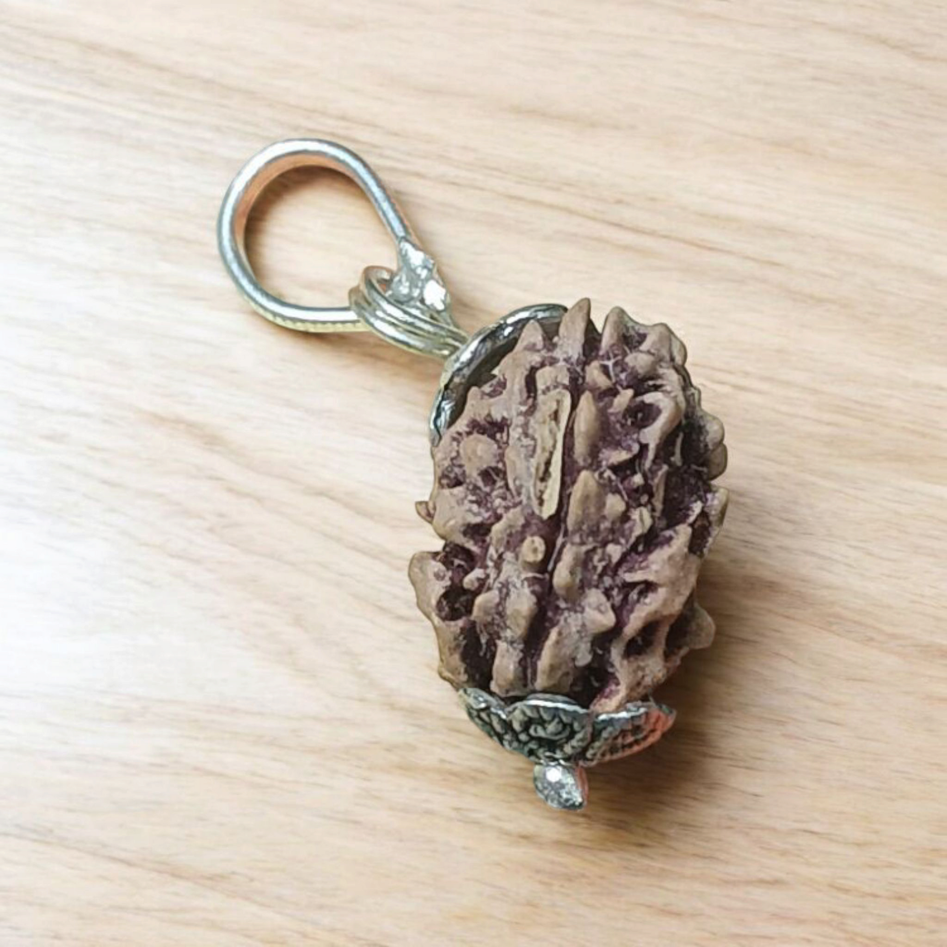 3 Mukhi Rudraksha Lab Certified - Natural Three-Face Rudraksha for Agni Dev Blessings – Malawala