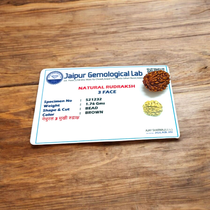 3 Mukhi Rudraksha Lab Certified - Natural Three-Face Rudraksha for Agni Dev Blessings – Malawala