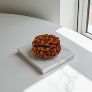 3 Mukhi Rudraksha Lab Certified - Natural Three-Face Rudraksha for Agni Dev Blessings – Malawala