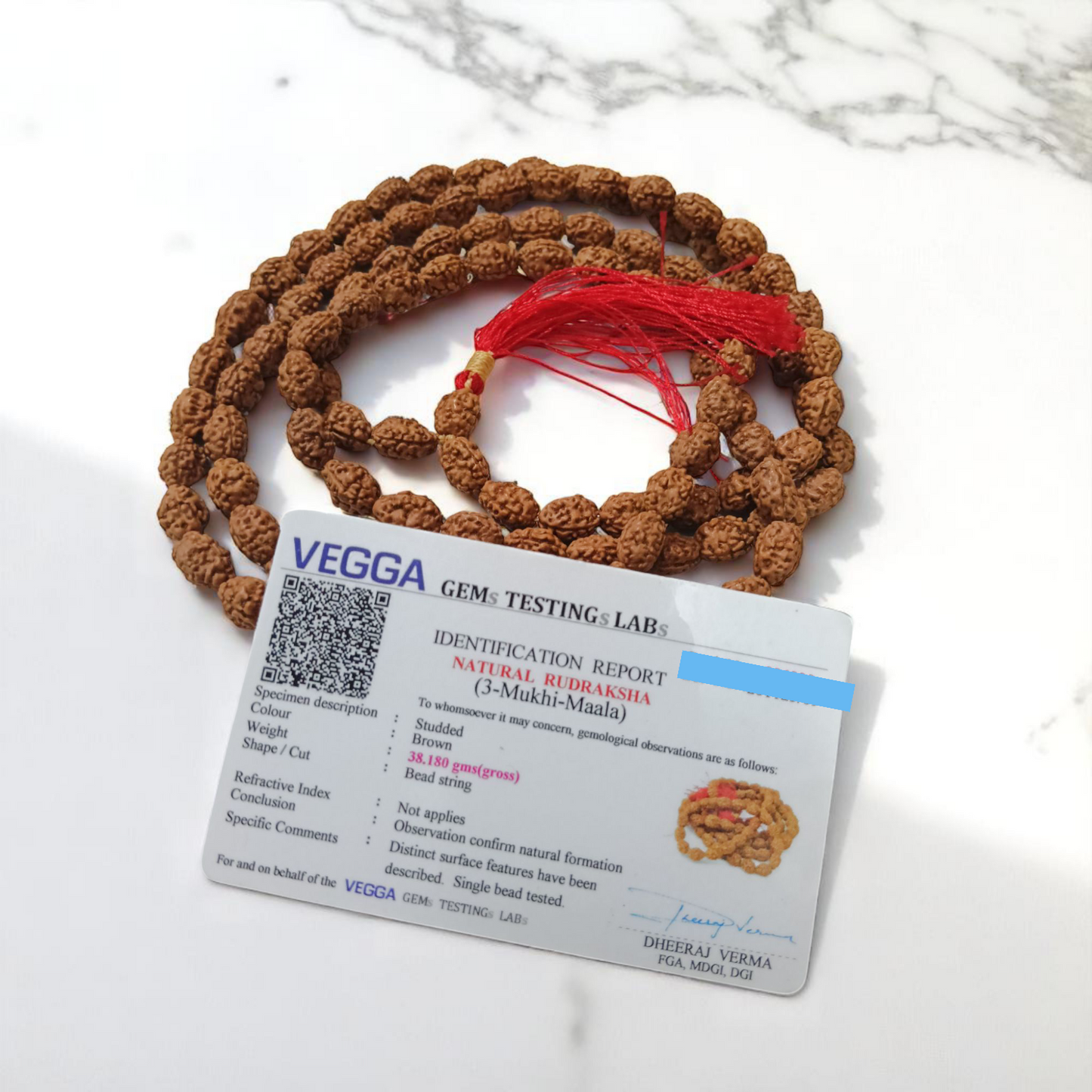 3 Mukhi Rudraksha Mala 108+1 Beads Lab Certified | Malawala