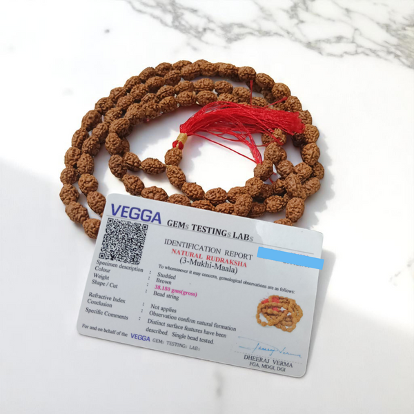 3 Mukhi Rudraksha Mala 108+1 Beads Lab Certified | Malawala