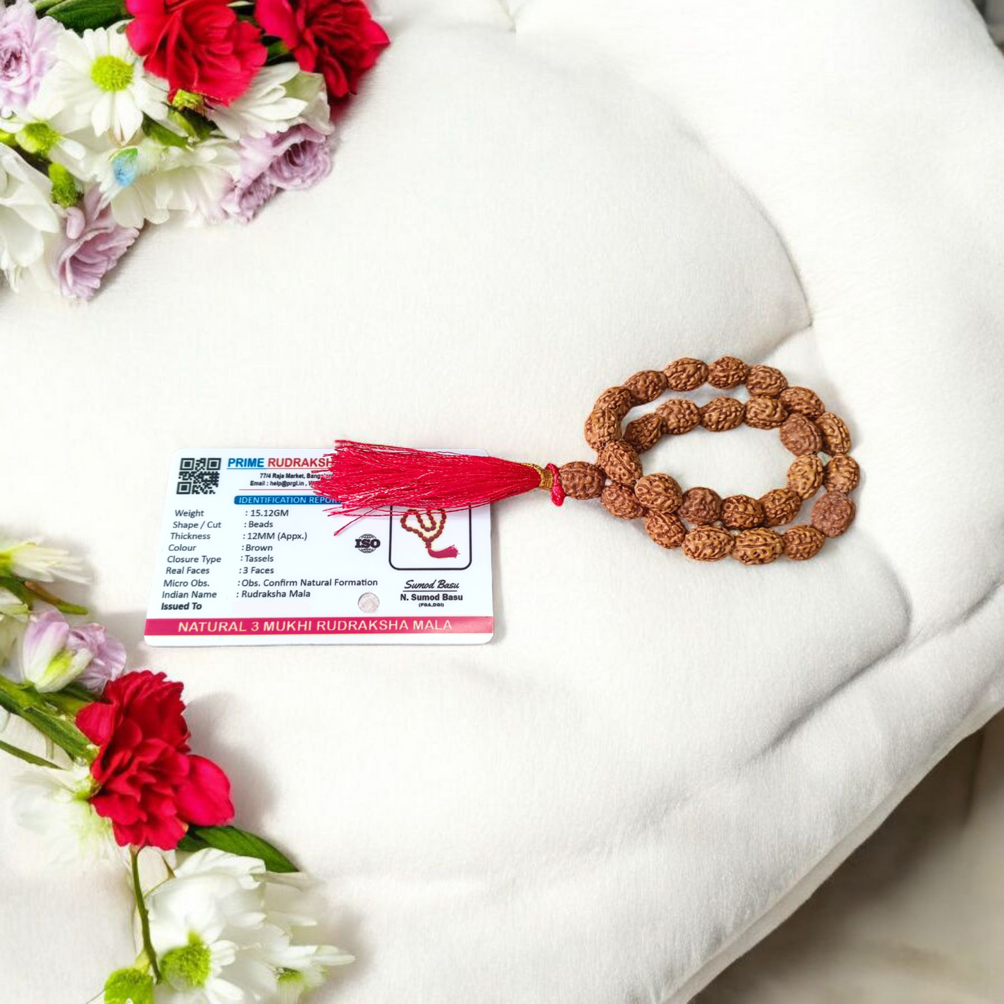 3 Mukhi Rudraksha Mala 27+1 Beads Lab Certified | Malawala