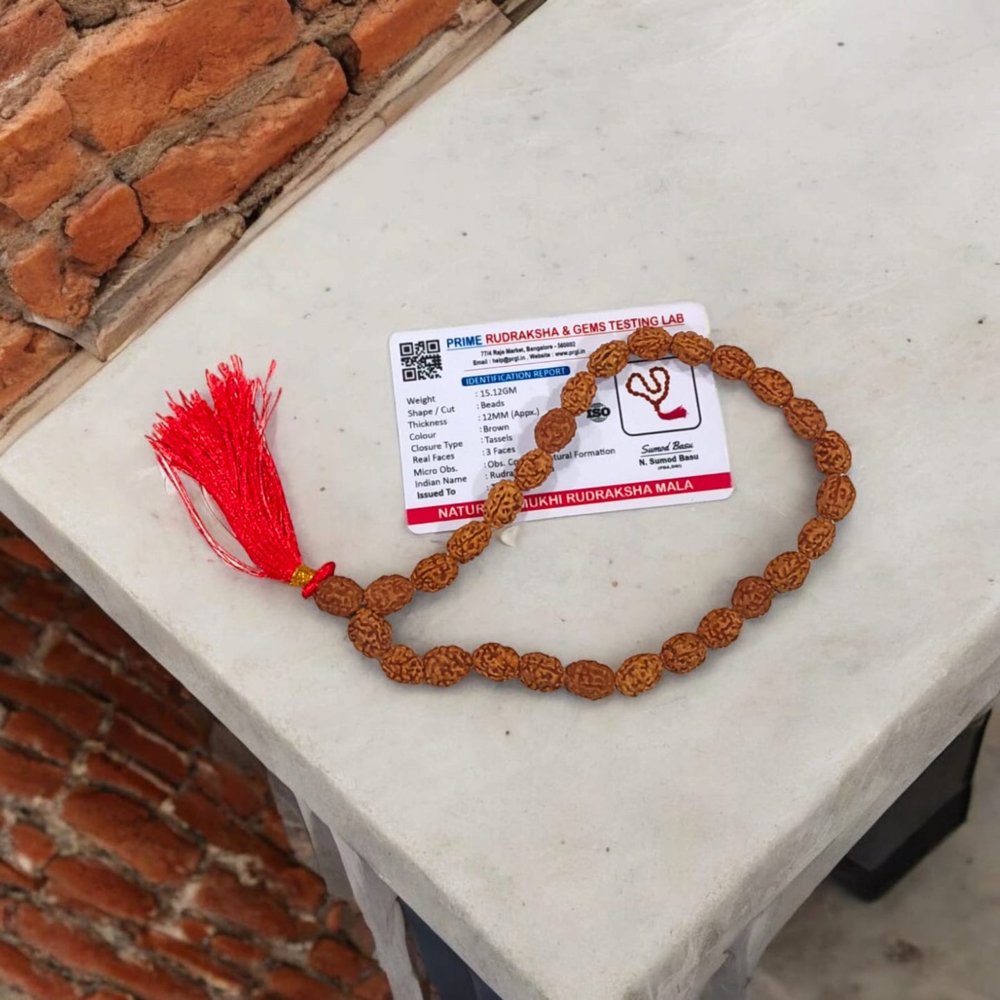 3 Mukhi Rudraksha Mala 27+1 Beads Lab Certified | Malawala