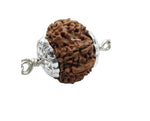9 Mukhi Rudraksha Lab Certified - Natural Nine-Face Rudraksha for Durga’s Power – Malawala