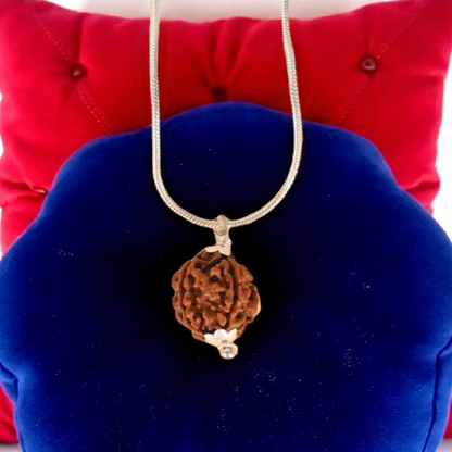 4 Mukhi Rudraksha Lab Certified - Natural Four-Face Rudraksha for Brahma Wisdom – Malawala