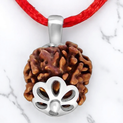4 Mukhi Rudraksha Lab Certified - Natural Four-Face Rudraksha for Brahma Wisdom – Malawala