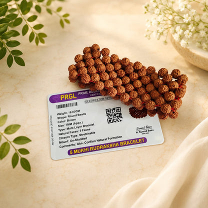5 Mukhi Rudraksha Bracelet 7MM Multi Layer Stretchable Lab Certified Malawala