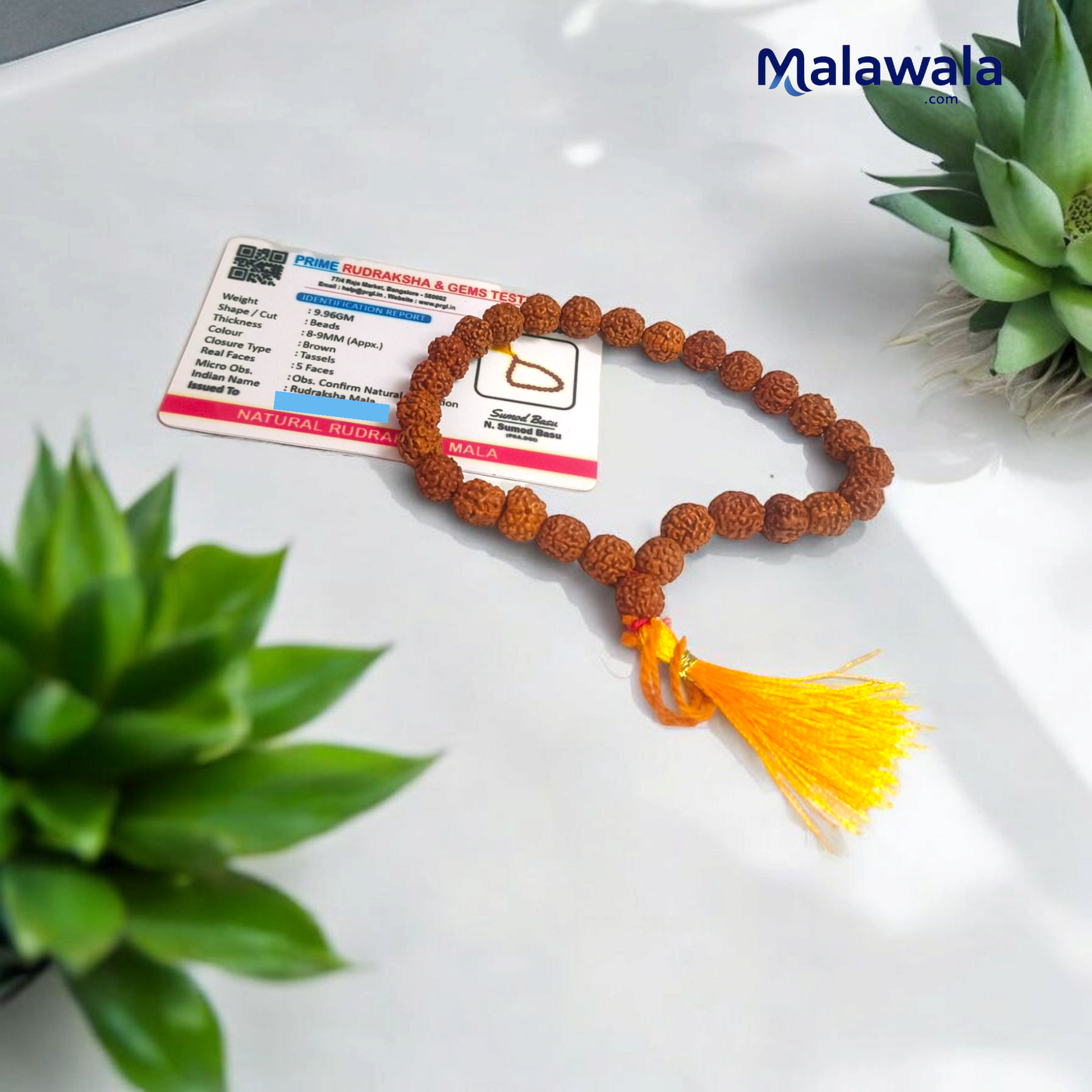 5 Mukhi Rudraksha Jaap Mala 27+1 Beads 8MM Lab Certified | Malawala