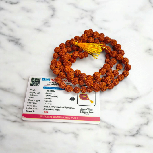 5 Mukhi Rudraksha Mala 108+1 Beads 8MM Lab Certified | Malawala