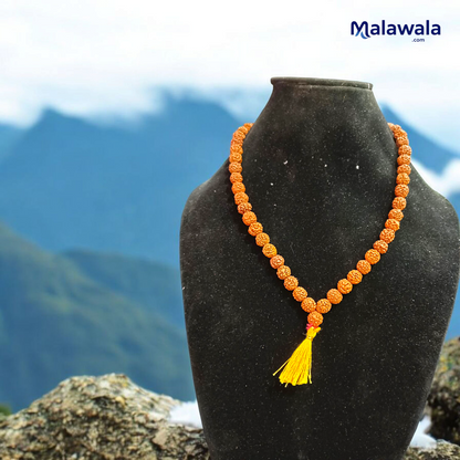 5 Mukhi Rudraksha Mala 108+1 Beads 8MM Lab Certified | Malawala