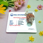 6 Mukhi Rudraksha Lab Certified - Natural Six-Face Rudraksha for Kartikeya’s Strength – Malawala