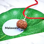 6 Mukhi Rudraksha Lab Certified - Natural Six-Face Rudraksha for Kartikeya’s Strength – Malawala