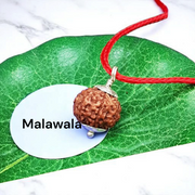 6 Mukhi Rudraksha Lab Certified - Natural Six-Face Rudraksha for Kartikeya’s Strength – Malawala