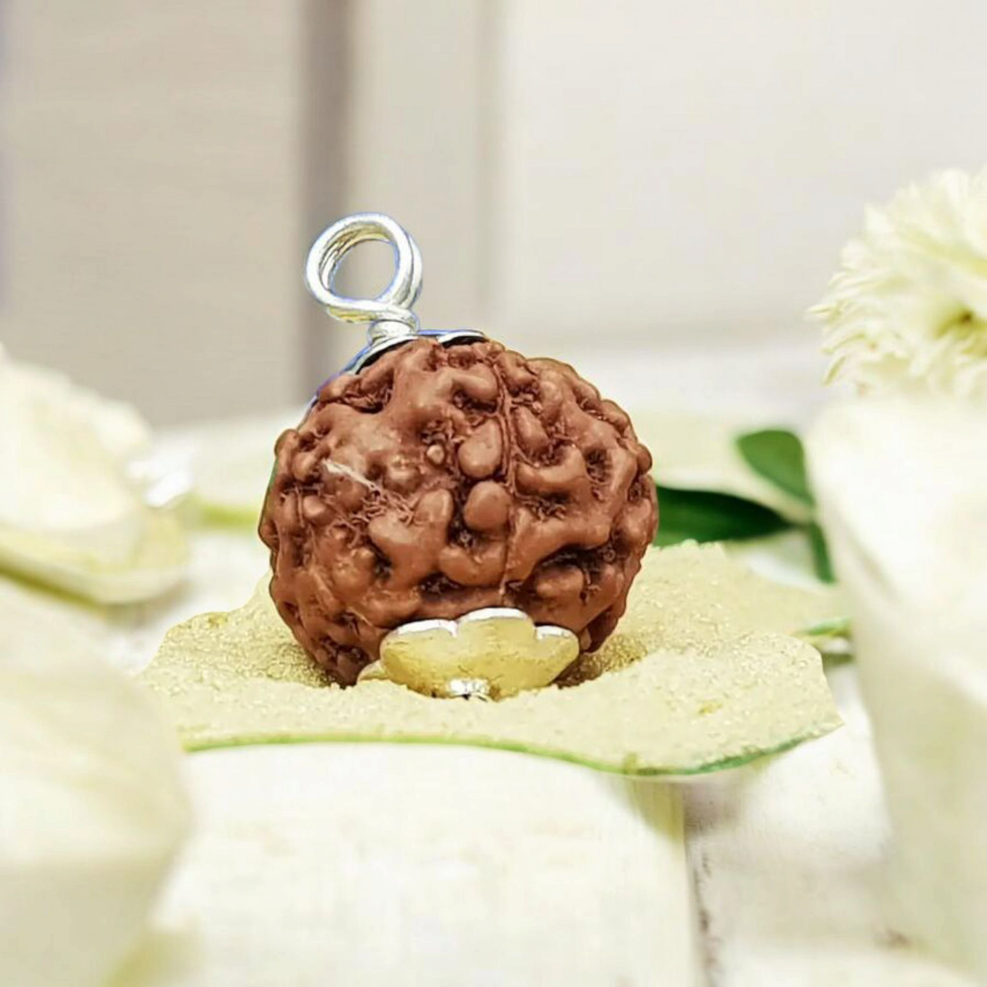 6 Mukhi Rudraksha Lab Certified - Natural Six-Face Rudraksha for Kartikeya’s Strength – Malawala