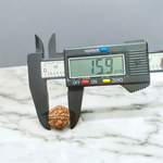 6 Mukhi Rudraksha Lab Certified - Natural Six-Face Rudraksha for Kartikeya’s Strength – Malawala