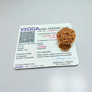 6 Mukhi Rudraksha Lab Certified - Natural Six-Face Rudraksha for Kartikeya’s Strength – Malawala