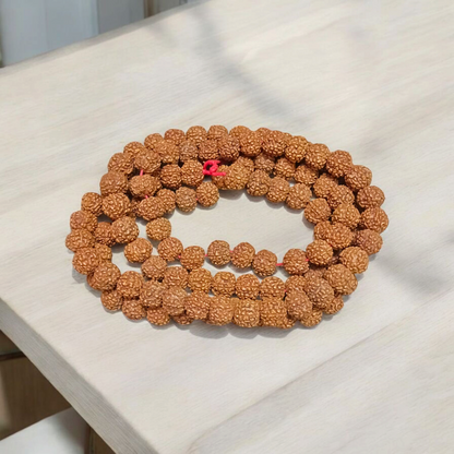 6 Mukhi Rudraksha Mala 108+1 Beads Lab Certified | Malawala