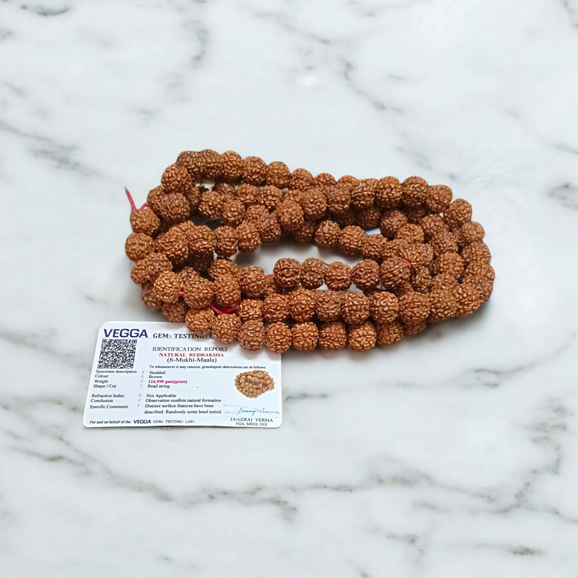 6 Mukhi Rudraksha Mala 108+1 Beads Lab Certified | Malawala